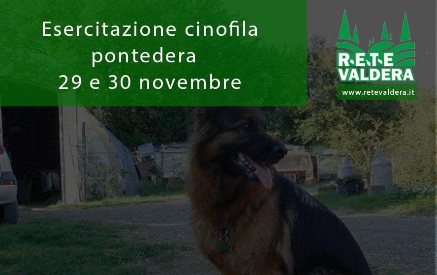 Photo of esercitazione cinofila 29 e 30novembre