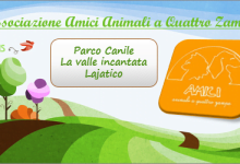Photo of L’Associazione Amici degli Animali a 4 zampe
