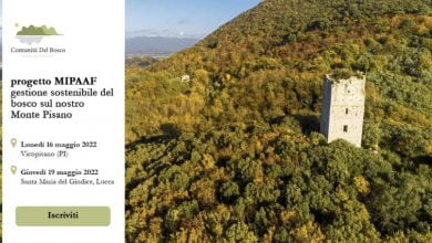 Photo of LUNEDÌ 16 e GIOVEDÌ 19 progetto di gestione sostenibile del bosco sul monte pisano